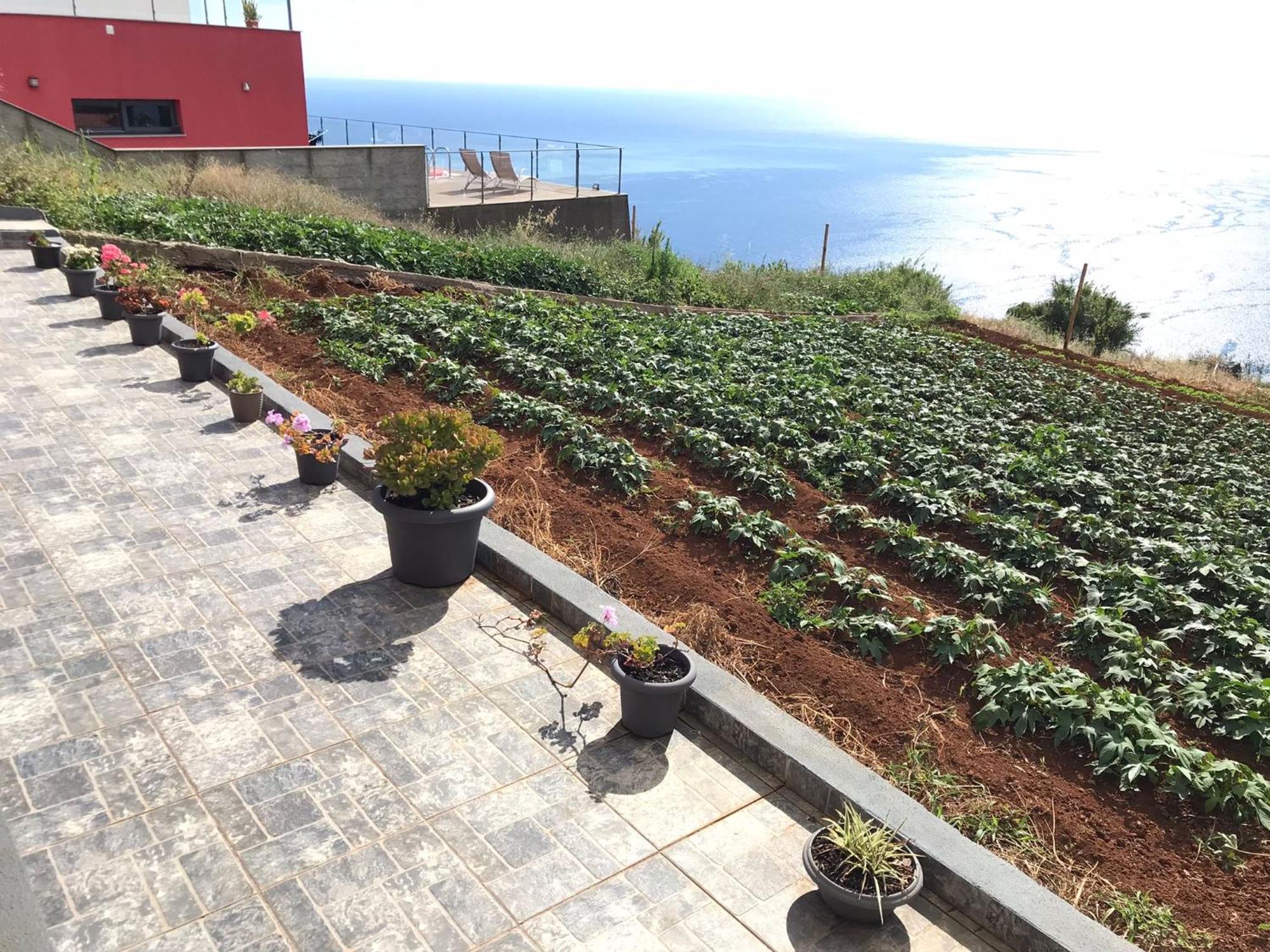 Palheirinho Da Achada Villa Arco da Calheta  Buitenkant foto